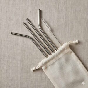 Stainless Steel Straws Pack